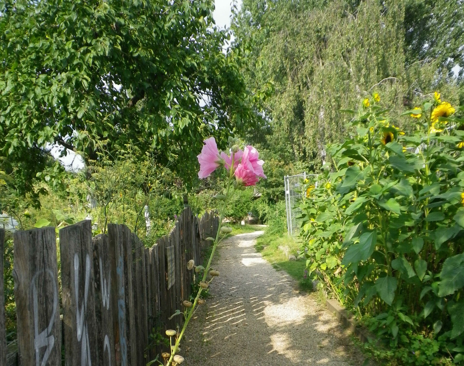 Bürgergarten Laskerwiese