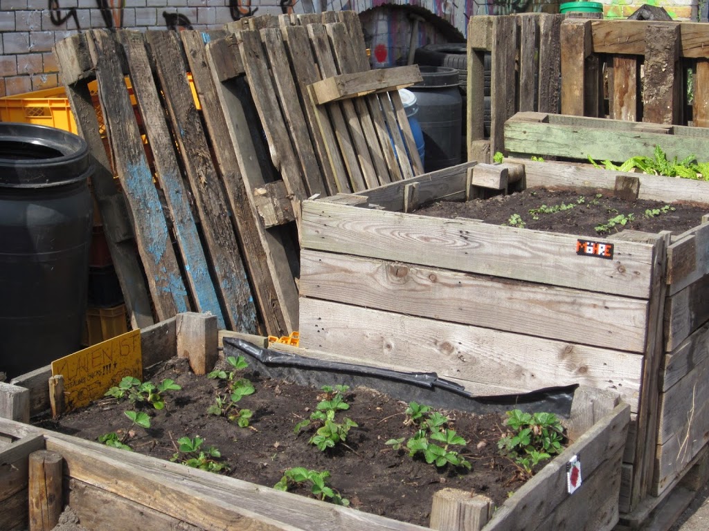 Brommygarten – ein neuer Gemeinschaftsgarten in Berlin