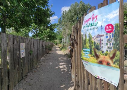 Langer Tag der Stadtnatur 2022