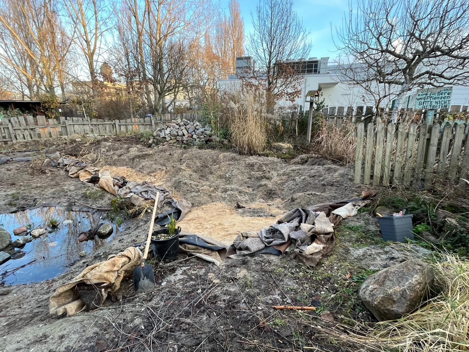 Rettet den Teich!